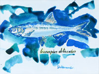 Fisch 01, Aquarell